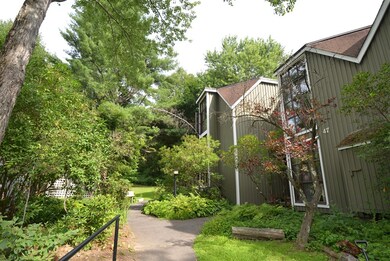 47 Pine Grove, Amherst, MA 01002 - photo 4