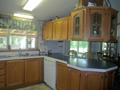 Outdoor Cook Likes Pass-thru Windows