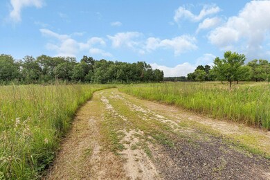5118 County Road 85, Santiago Township, MN 55308 - photo 2