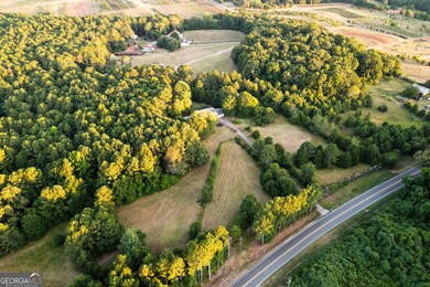 8165 Highway 81, Bethlehem, GA 30620 - photo 6