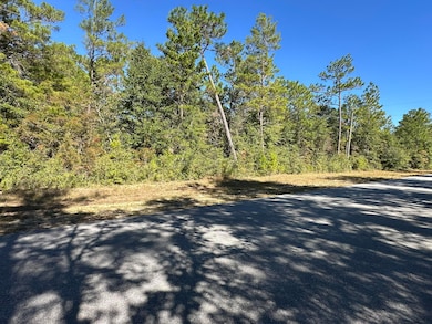 Parcel A Bear Head Rd, Crestview, FL 32539 - photo 7