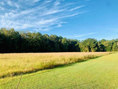 TBD Turkey Run, Havana, FL 32333 - photo 5