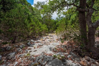 485 Mitchell Ranch Rd, Camp Wood, TX 78833 - photo 7