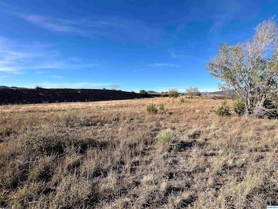 105X Mountain View Dr, Silver City, NM 88061 - photo 6