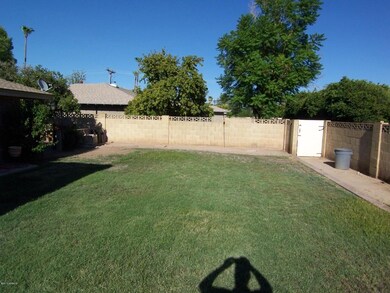 Backyard west to east