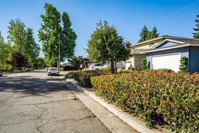 2718 Custer Dr, San Jose, CA 95124 - photo 3