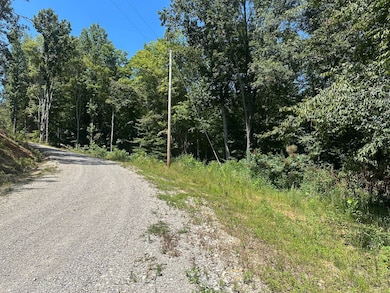 0 the Village of Dale Hollow unit 12, Burkesville, KY 42717 - photo 3