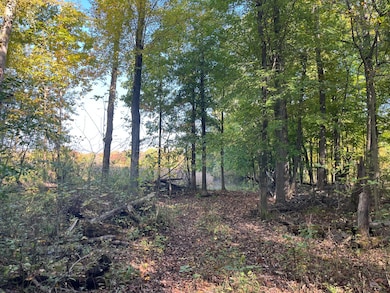 0 W Saint Joseph St, Lawrence, MI 49064 - photo 3