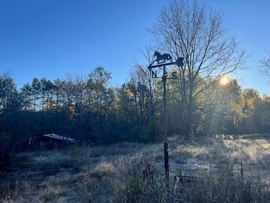 9955 Wiitala Rd, Copemish, MI 49625 - photo 3