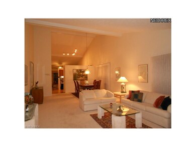 vaulted, beamed ceilings