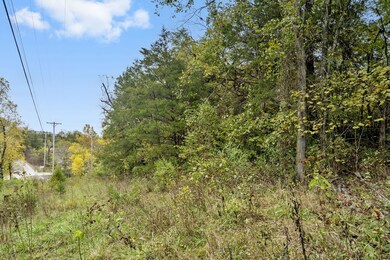 6-web-or-mls-DSC01560