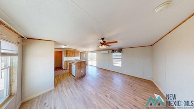 Kitchen with light wood-type flooring, a textured ceiling, ornamental molding, light countertops, and a ceiling fan