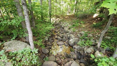 201 Edison Timmerman Rd, Cairo, NY 12413 - photo 3