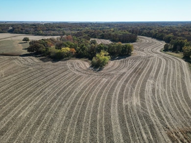 12140 County Loop Rd, Palmyra, IL 62674 - photo 6