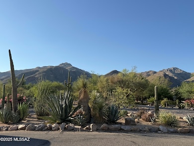 6080 N Sabino Shadow Ln, Tucson, AZ 85750 - photo 5