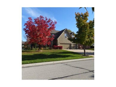Earlier fall view of gorgeous tree colors