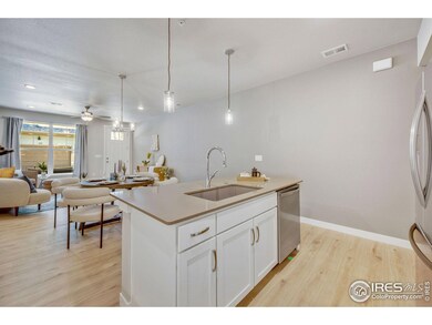 968 Birdwhistle Ln unit 6, Fort Collins, CO 80524 - photo 5