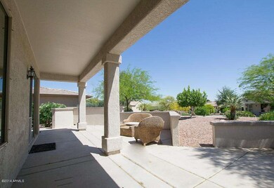Back Patio 2
