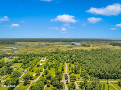 24071 Cuevas Delisle Rd, Pass Christian, MS 39571 - photo 2