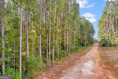 0 Moonlight Dr unit 10598549, Martin, GA 30557 - photo 4