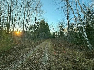 24965 Hammock Trail, Park Rapids, MN 56470 - photo 7