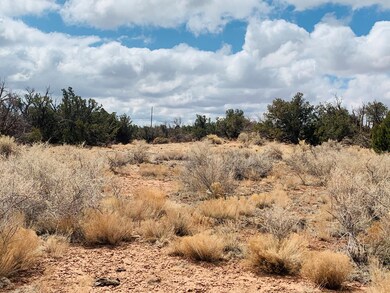 Jarman IMG-7882