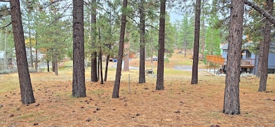 39731 Lakeview Dr, Big Bear Lake, CA 92315 - photo 6