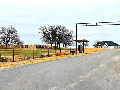 2025 Swallow Tail Ct, Poolville, TX 76487 - photo 2