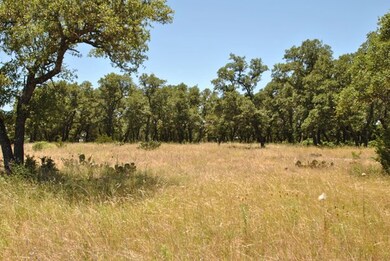 16 Sugar Creek Trail, Fredericksburg, TX 78624 - photo 2
