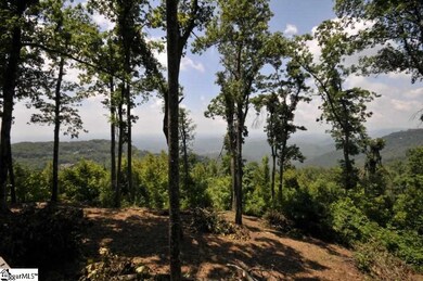 246 Bella Vista Ct unit CVN-CM-009, Zirconia, NC 28790 - photo 6