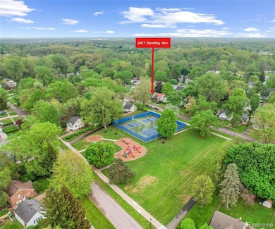 Aerial view of a forest