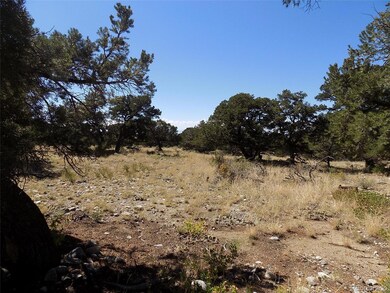 0 Mill Run Rd, Mosca, CO 81146 - photo 3