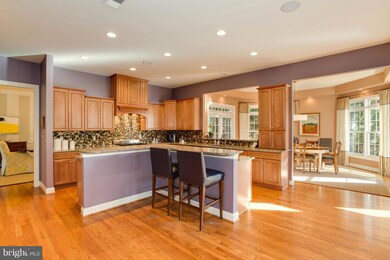7120 Merrimac Dr, McLean, VA 22101 - photo 7
