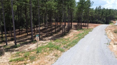 6.6 Acres Caro Ln, Franklinton, LA 70438 - photo 4