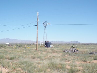 DSCF9551