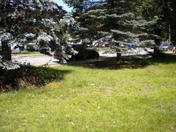 14 Winchester Plaza, Newton Highlands, MA 02461 - photo 4