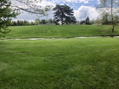 Stream in back