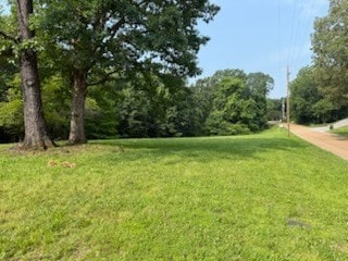 2824 Cypress Rd, Buchanan, TN 38222 - photo 2