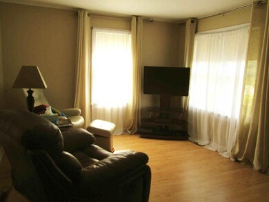 Living Room Windows
