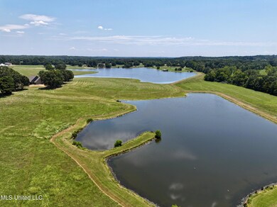 dji_fly_20240812_171740_0005_17234952520