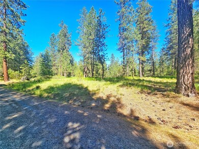0 5xx Couples Ct, Chewelah, WA 99109 - photo 7