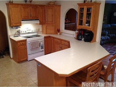 18975 County 11, Long Prairie, MN 56347 - photo 6