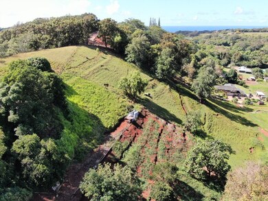0 Kaumualii Hwy unit 663560, Lawai, HI 96741 - photo 3