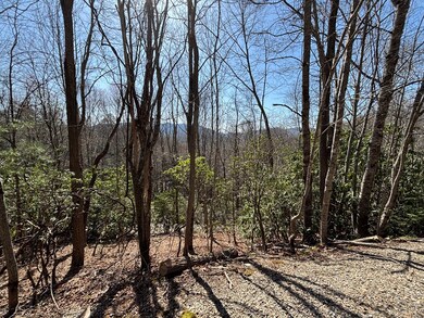 TBD Laurel Ln, Nantahala, NC 28781 - photo 4
