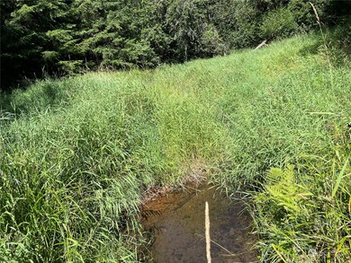 0 Wiest Rd unit NWM2155730, Longview, WA 98632 - photo 6