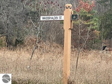 0000 Wasservalden St, Custer Township, MI 49615 - photo 4