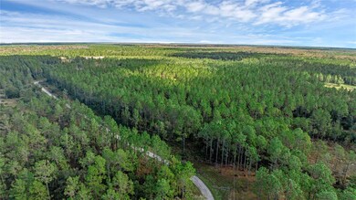 1 Wild Cur Rd, Pierson, FL 32180 - photo 7