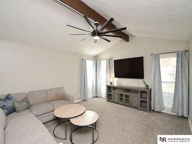 808 Chisholm Trail, Papillion, NE 68046 - photo 4