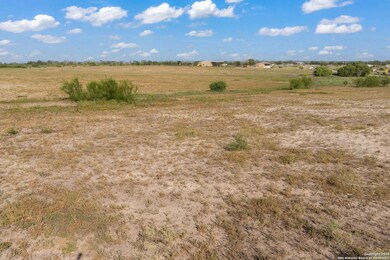 18434A Farm To Market Road 471, Natalia, TX 78059 - photo 7