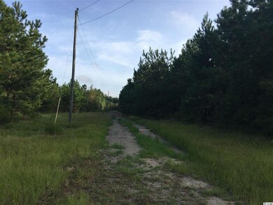 0 Whispering Hills Rd, Loris, SC 29569 - photo 2